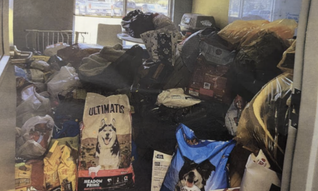 County Attempts New Plan To Fix Animal Shelter Donation Mess